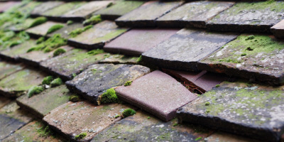 Smite roof repair costs